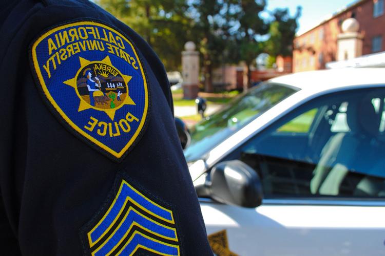 A close up of a police uniform badge.